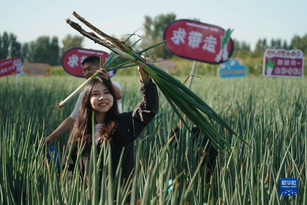 ∪乐娱乐国际